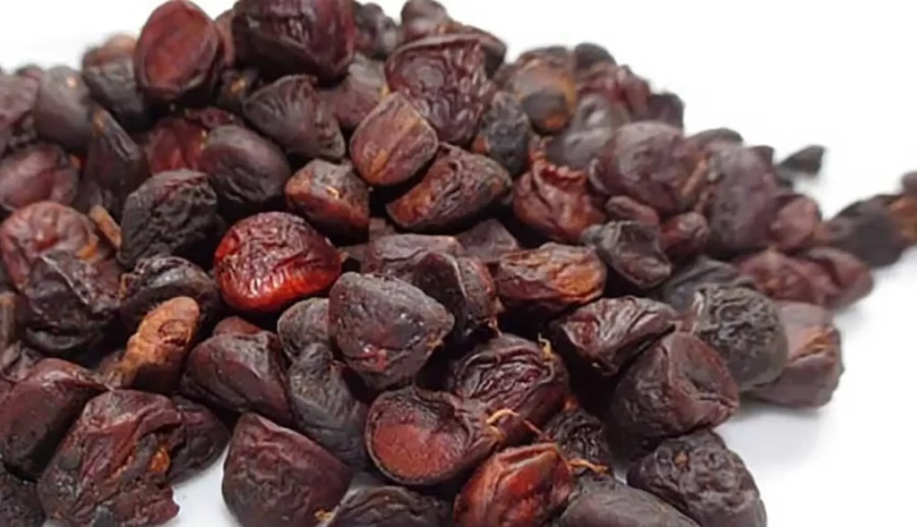 hạt đổi gia vị núi rừng